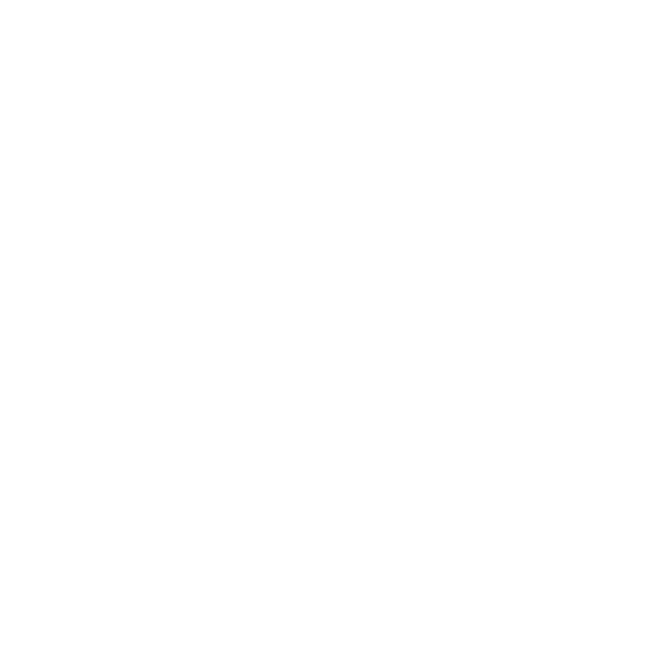 Logo Security & Co