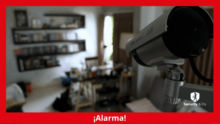 Video-monitoreo de seguridad